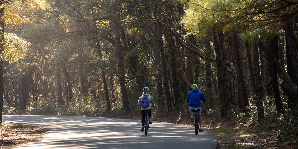 pair of people on bicycles riding through woods