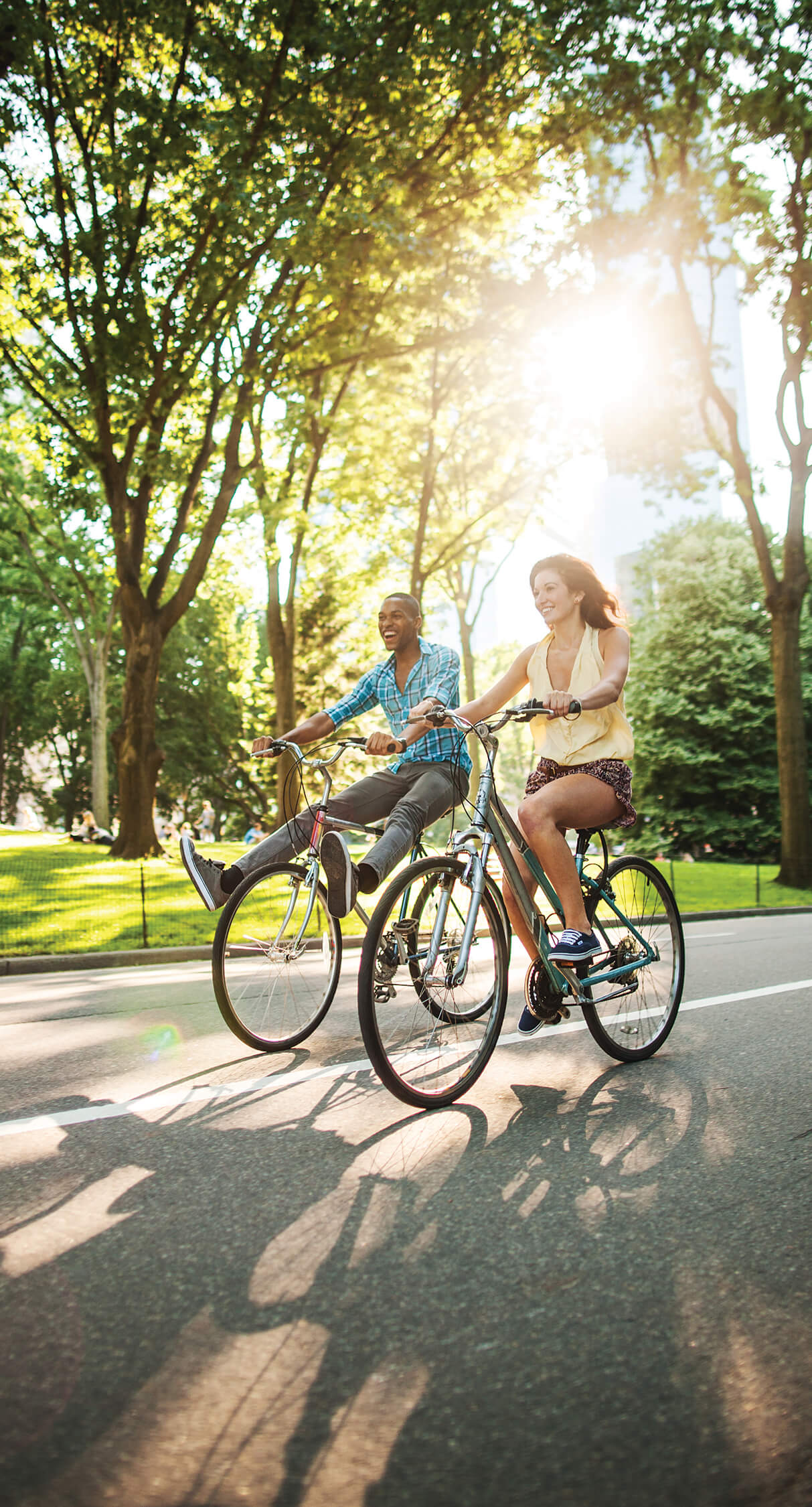 Two people riding bikes on tree-lined street